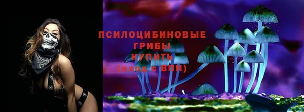 ALPHA-PVP Няндома