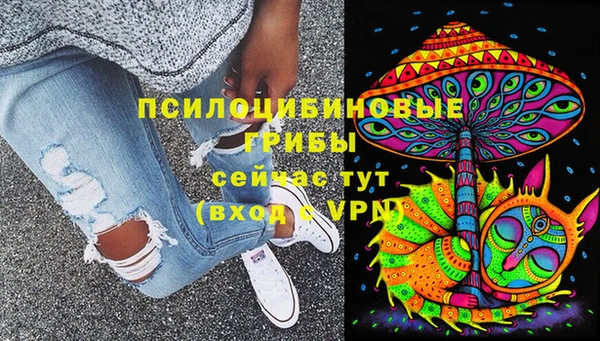 крисы Нязепетровск